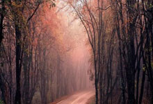 旺财28体育：[举重]全国女子举重锦标赛 55公斤级决赛.