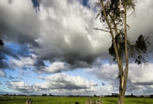 2016-2017赛季之后,那不勒斯首次在意甲双杀米兰.